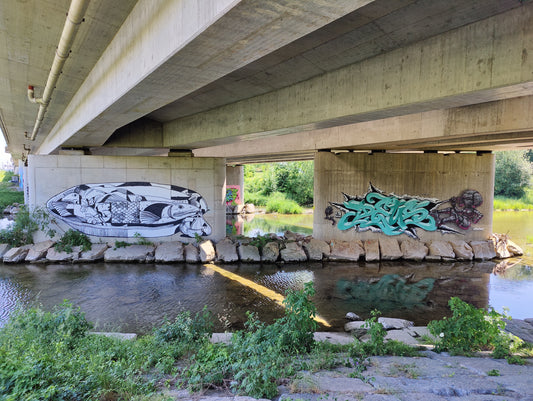 St. Pölten im Banksy-Fieber: Street Art an der Traisen